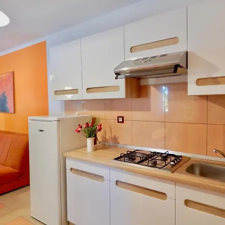 Affittacamere Holiday With Pool And Spacious Backyard 3*