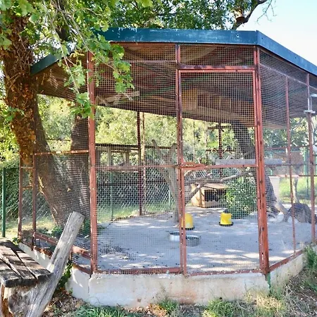 Affittacamere Holiday With Pool And Spacious Backyard Pola