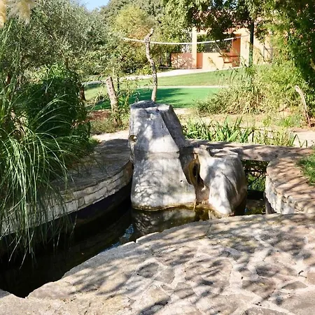 Holiday With Pool And Spacious Backyard