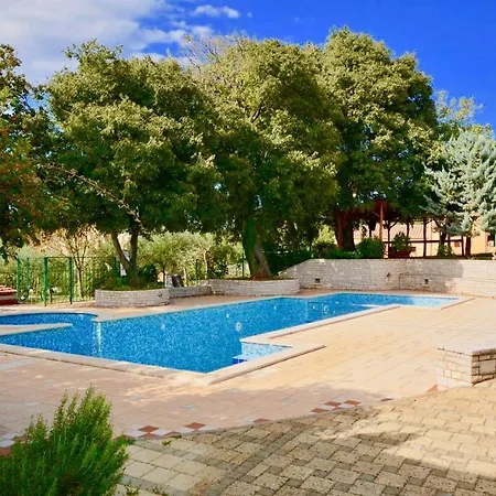 Affittacamere Holiday With Pool And Spacious Backyard