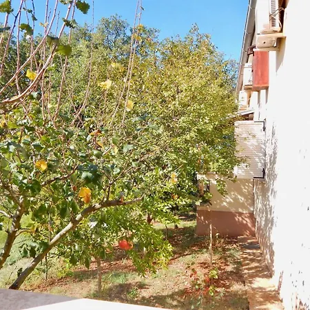 Holiday With Pool And Spacious Backyard Affittacamere 3*