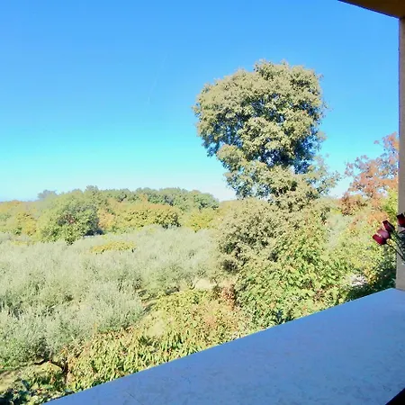 Holiday With Pool And Spacious Backyard 3*