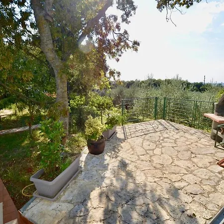Holiday With Pool And Spacious Backyard Pola