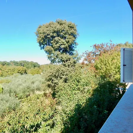 Holiday With Pool And Spacious Backyard Affittacamere 3*
